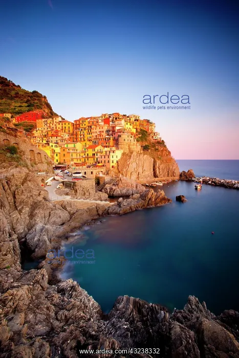 : The medieval village of Manarola in The : The medieval village of Manarola in The