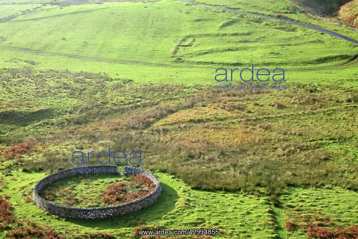: Medieval Village Remains - and circular sheepfold : Medieval Village Remains - and circular sheepfold