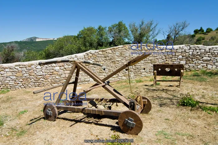 : Medieval War Machine and the Pillory, Campiglia : Medieval War Machine and the Pillory, Campiglia