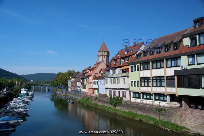 : Medieval watchtower with historic housing : Medieval watchtower with historic housing