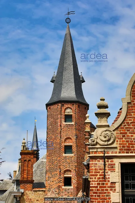 : Medievel tower and traditional roof decorations : Medievel tower and traditional roof decorations