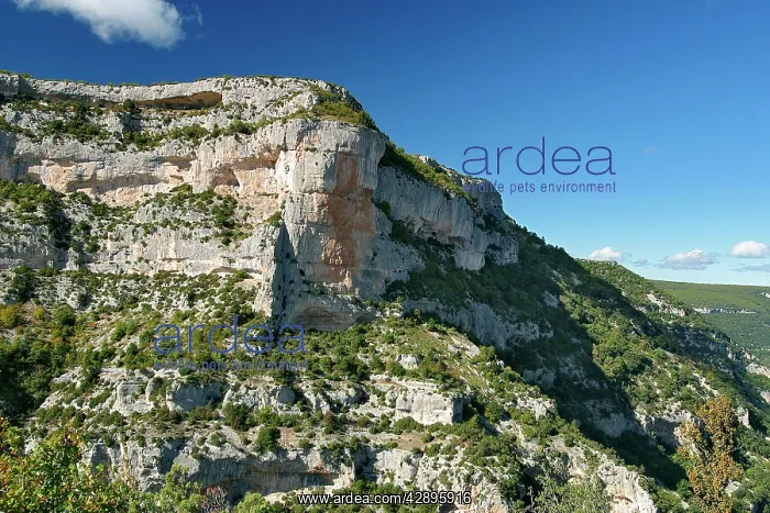  : Mediterranean landscape