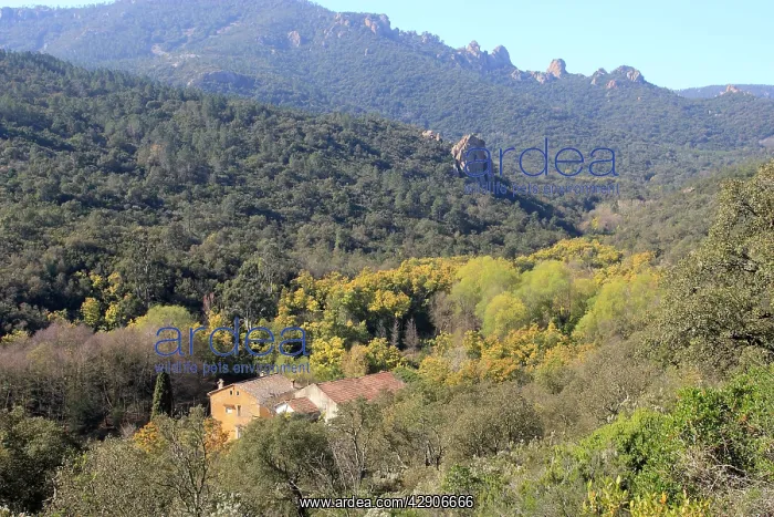 : Mediterranean landscape : Mediterranean landscape