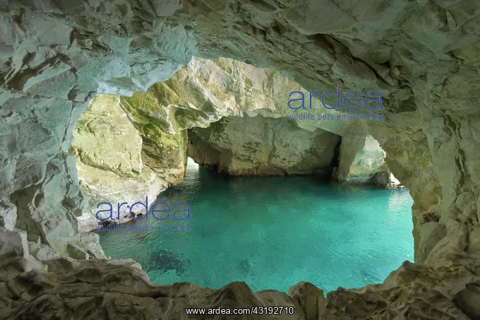 : Mediterranean Sea, Rosh Hanikra Caves, Northern : Mediterranean Sea, Rosh Hanikra Caves, Northern