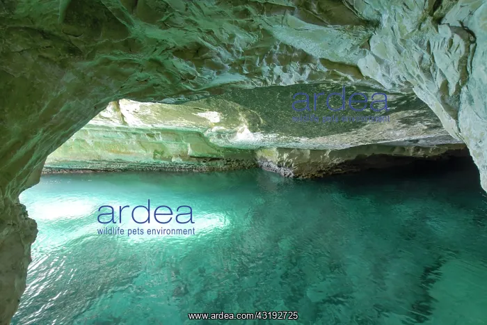 : Mediterranean Sea, Rosh Hanikra Caves, Northern : Mediterranean Sea, Rosh Hanikra Caves, Northern