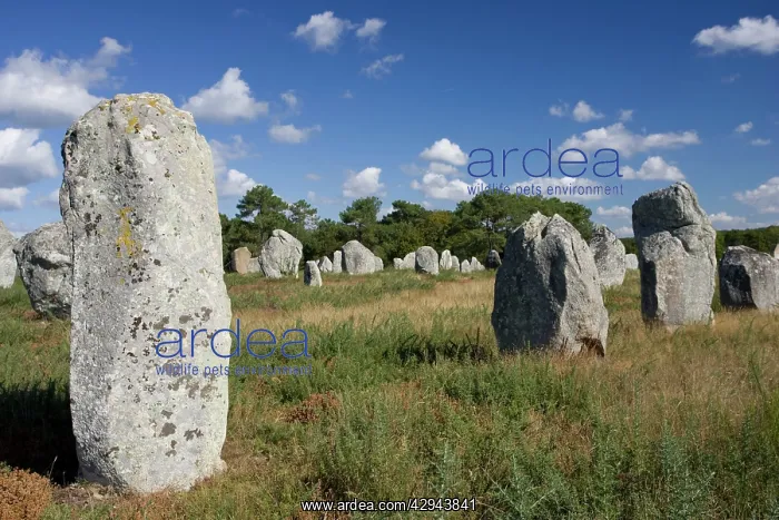 : Megalithic aignements de Kermario, prehistoric : Megalithic aignements de Kermario, prehistoric