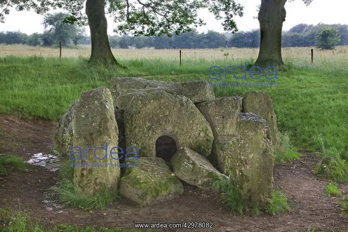 : Megalithic Tomb : Megalithic Tomb