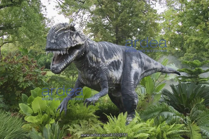 : Megalosaurus : Megalosaurus