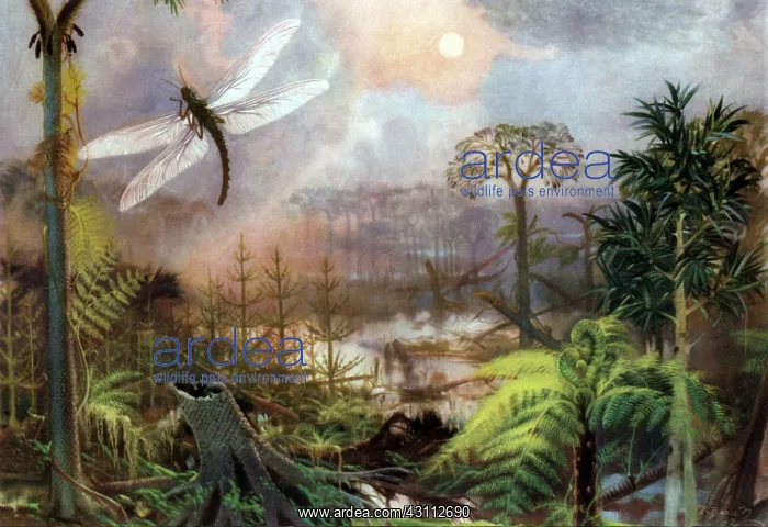 : Meganeura in Upper Carboniferous Landscape : Meganeura in Upper Carboniferous Landscape