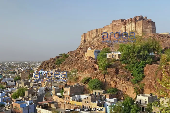 : Mehrangarh Fort on hill above modern day : Mehrangarh Fort on hill above modern day