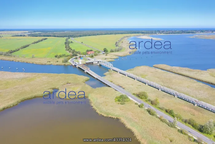 : Meiningen Bridge : Meiningen Bridge