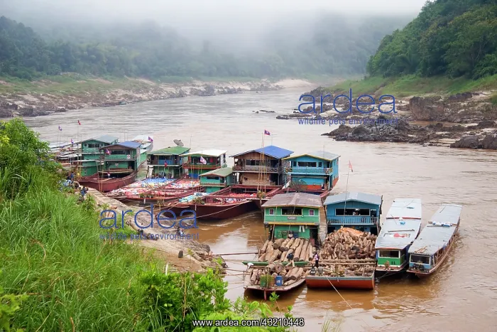 : Mekong River, Laos. Traveling down the Mekong : Mekong River, Laos. Traveling down the Mekong