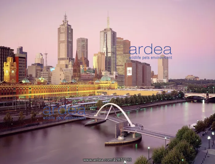 : Melbourne - at night : Melbourne - at night