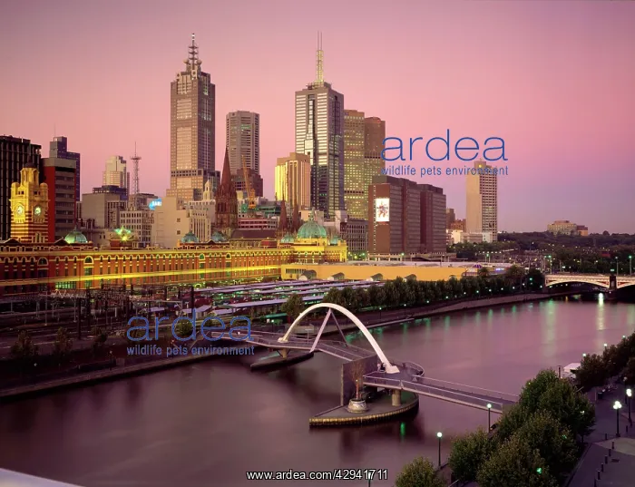 : Melbourne at night. Victoria, Australia : Melbourne at night. Victoria, Australia