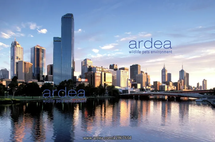 : Melbourne from Southbank Melbourne : Melbourne from Southbank Melbourne