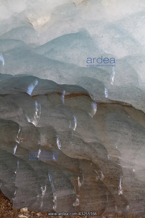 : Melting glacier ice in an ice cave of the : Melting glacier ice in an ice cave of the
