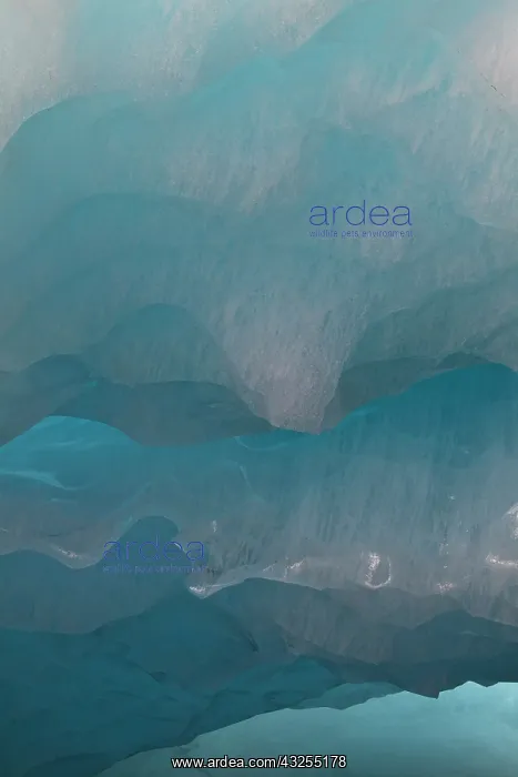  : Melting glacier ice in an ice cave of the