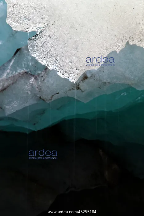 : Melting glacier ice in an ice cave of the : Melting glacier ice in an ice cave of the