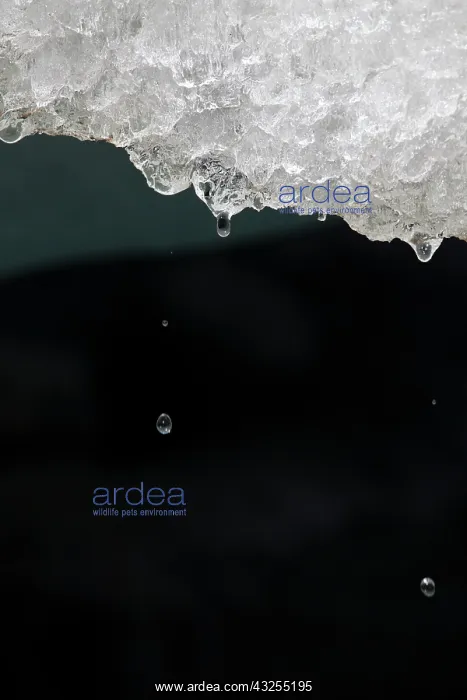 : Melting glacier ice in an ice cave of the : Melting glacier ice in an ice cave of the