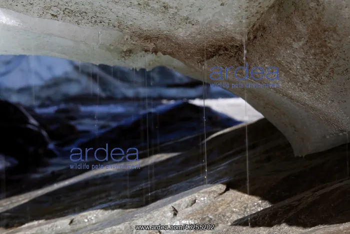 : Melting glacier ice in an ice cave of the : Melting glacier ice in an ice cave of the