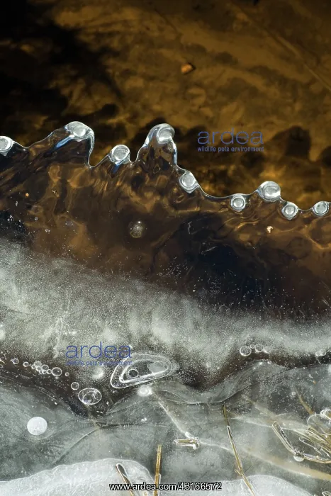 : Melting Ice : Melting Ice