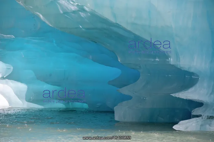 : Melting patterns are amazing on this iceberg in Shakes Lake : Melting patterns are amazing on this iceberg in Shakes Lake