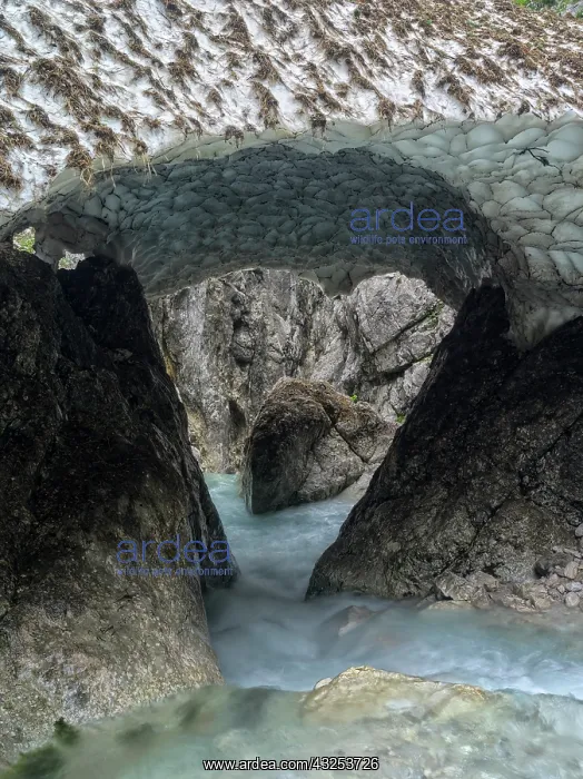 : Melting remains of big avalanches blocking : Melting remains of big avalanches blocking