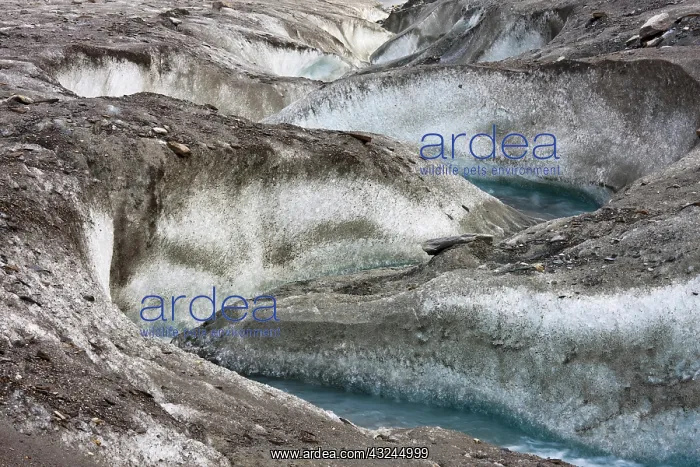 : meltwater channel and creek on the surface : meltwater channel and creek on the surface