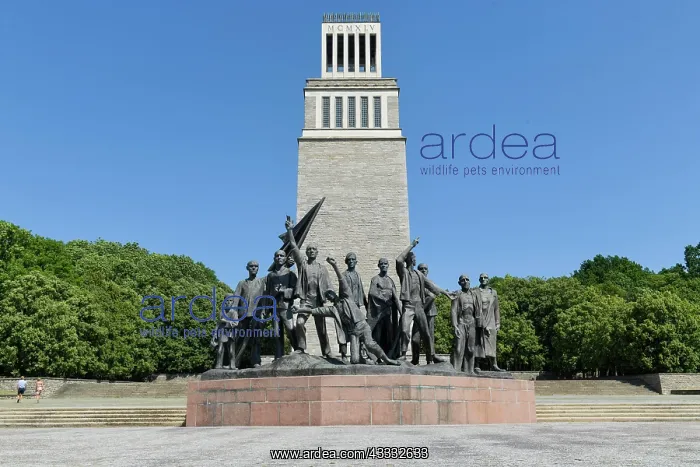 : Memorial, Bell Tower, Monument by Fritz Cremer : Memorial, Bell Tower, Monument by Fritz Cremer
