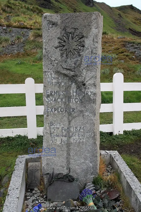: Memorial of explorer Shackleton at Grytviken - : Memorial of explorer Shackleton at Grytviken -