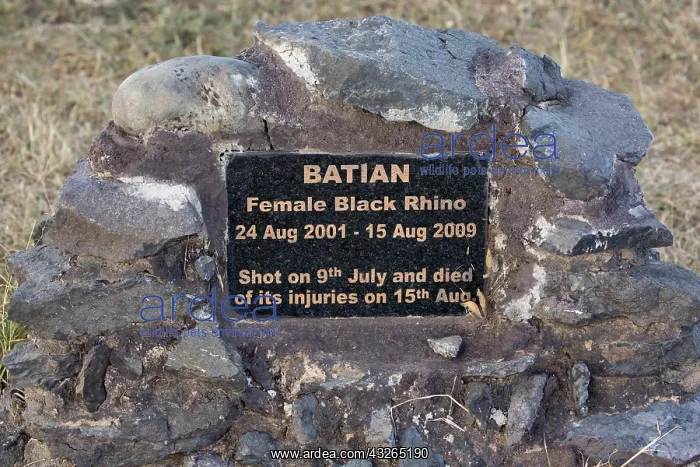 : Memorial plaque to poached Black rhino Batan, shot : Memorial plaque to poached Black rhino Batan, shot