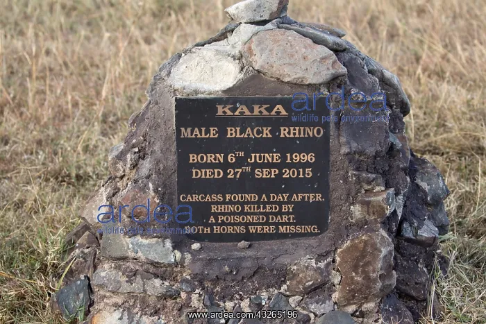 : Memorial plaque to poached Black rhino Kaka, shot : Memorial plaque to poached Black rhino Kaka, shot