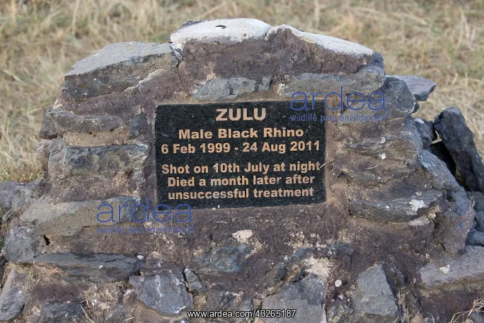 : Memorial plaque to poached Black rhino, Ol Pejeta : Memorial plaque to poached Black rhino, Ol Pejeta