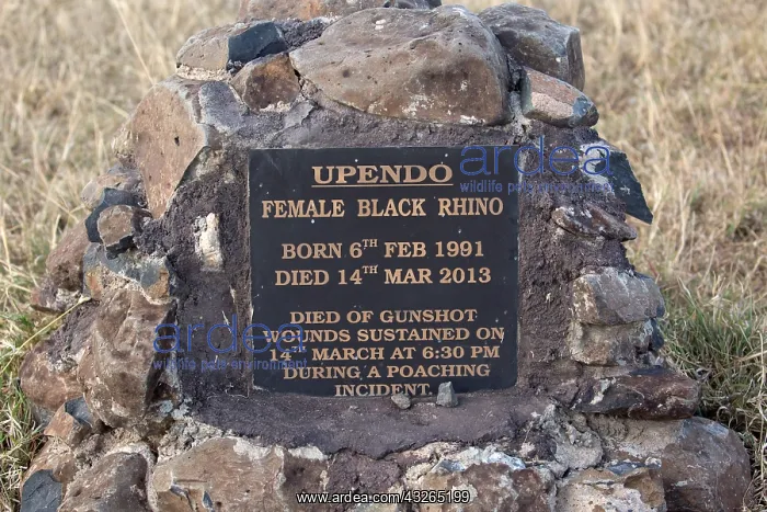: Memorial plaque to poached female Black rhino named : Memorial plaque to poached female Black rhino named