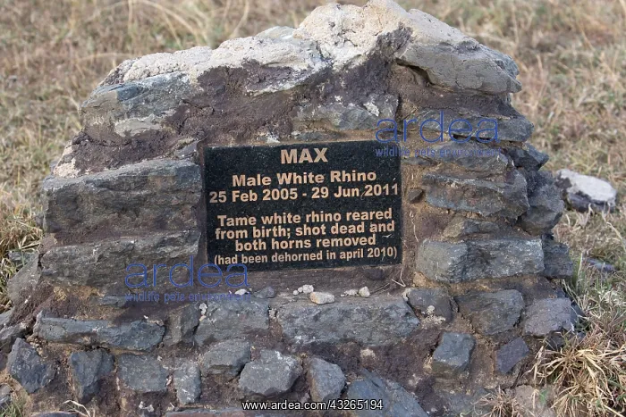 : Memorial plaque to poached White rhino named Max : Memorial plaque to poached White rhino named Max