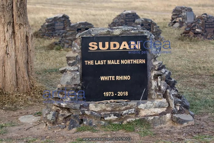 : Memorial plaque to Sudan, the last male Northern : Memorial plaque to Sudan, the last male Northern
