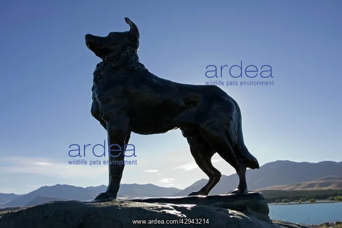 : Memorial - silhouette of sheepdog memorial : Memorial - silhouette of sheepdog memorial