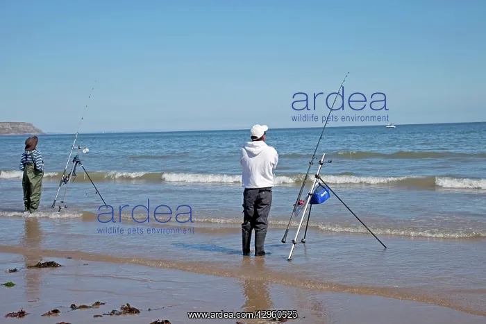: Two men beach fishing : Two men beach fishing