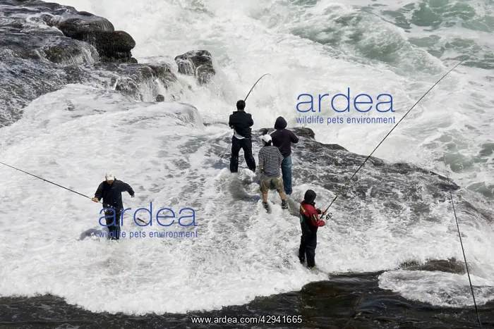: Men fishing on rock outcrop amidst breaking waves : Men fishing on rock outcrop amidst breaking waves