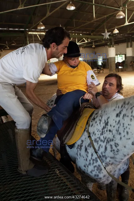 : Men helping a paraplegic woman to ride : Men helping a paraplegic woman to ride