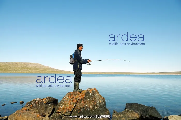 : Men of the Inuit people fishing in a lake, Victoria : Men of the Inuit people fishing in a lake, Victoria