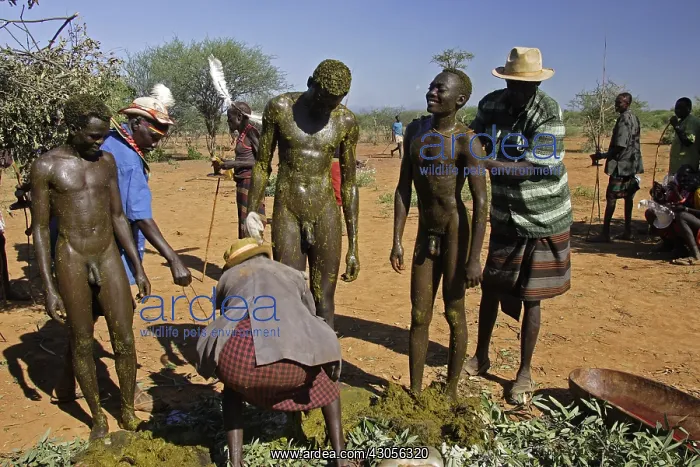 : Men during the Pokot Sapana Ceremony Kenya : Men during the Pokot Sapana Ceremony Kenya