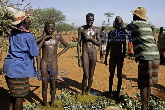 : Men during the Pokot Sapana Ceremony Kenya : Men during the Pokot Sapana Ceremony Kenya