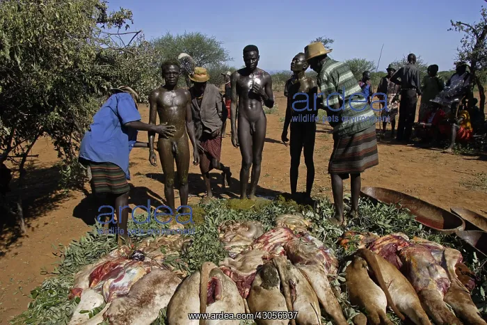 : Men during the Pokot Sapana Ceremony Kenya : Men during the Pokot Sapana Ceremony Kenya