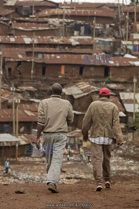 : Men walking in Kibera, one of Africa's largest : Men walking in Kibera, one of Africa's largest