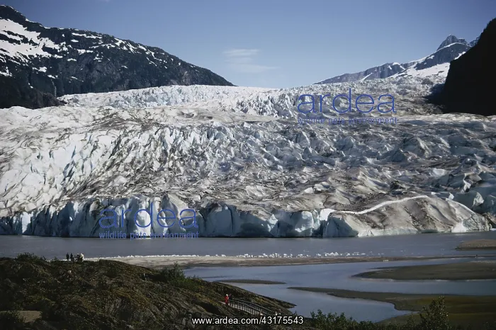 : Mendenhall Glacier : Mendenhall Glacier