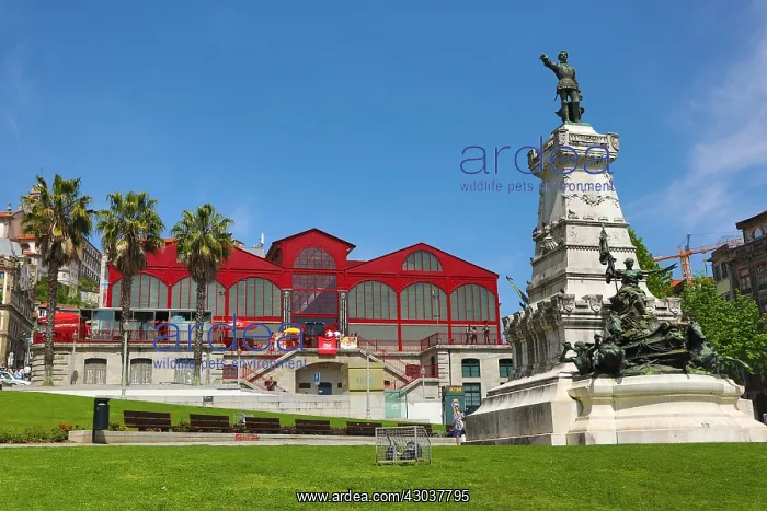 : The Mercado Ferreira Borges or Old Market with the : The Mercado Ferreira Borges or Old Market with the