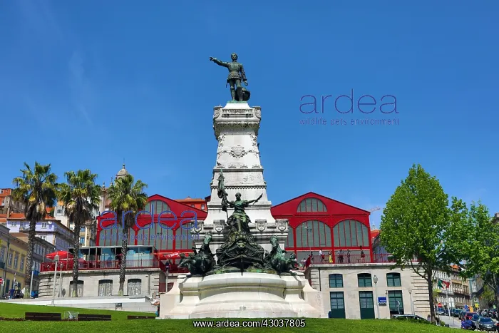 : The Mercado Ferreira Borges or Old Market with the : The Mercado Ferreira Borges or Old Market with the