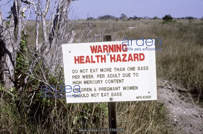 : Mercury Warning : Mercury Warning
