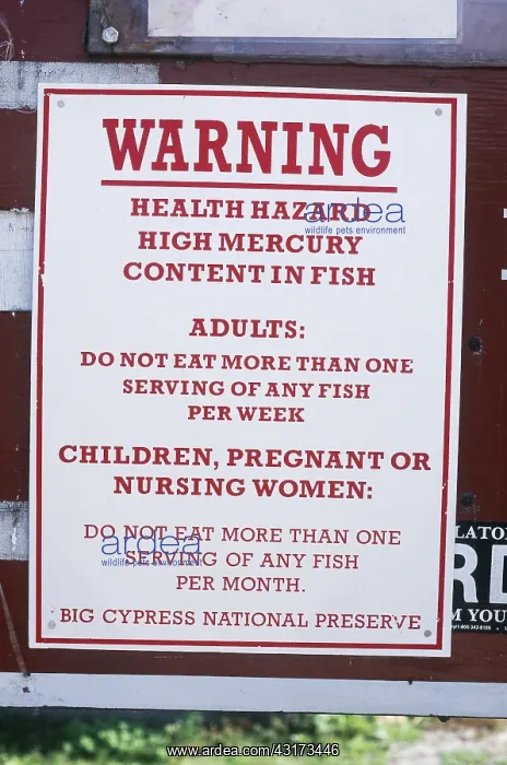 : Mercury Warning : Mercury Warning